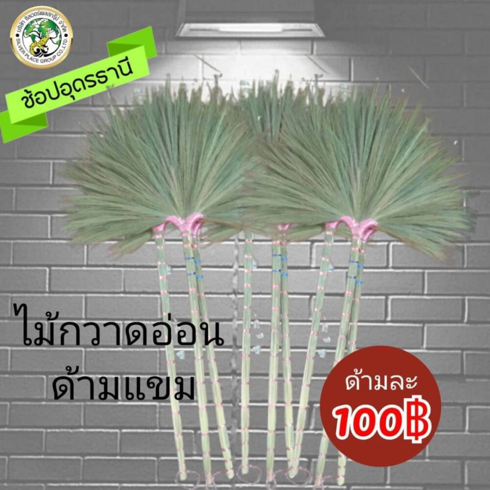ไม่กวาดดอกหญ้า ด้ามยาว