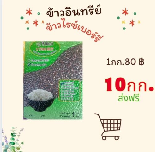 ข้าวอินทรีย์ ข้าวไรซ์เบอรฺรี่