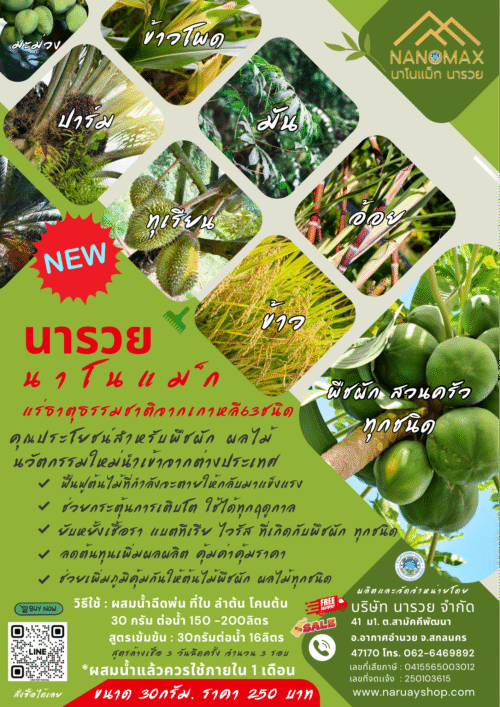 นารวยนาโนเเม็ก - Image 8