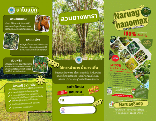 นารวยนาโนเเม็ก - Image 5