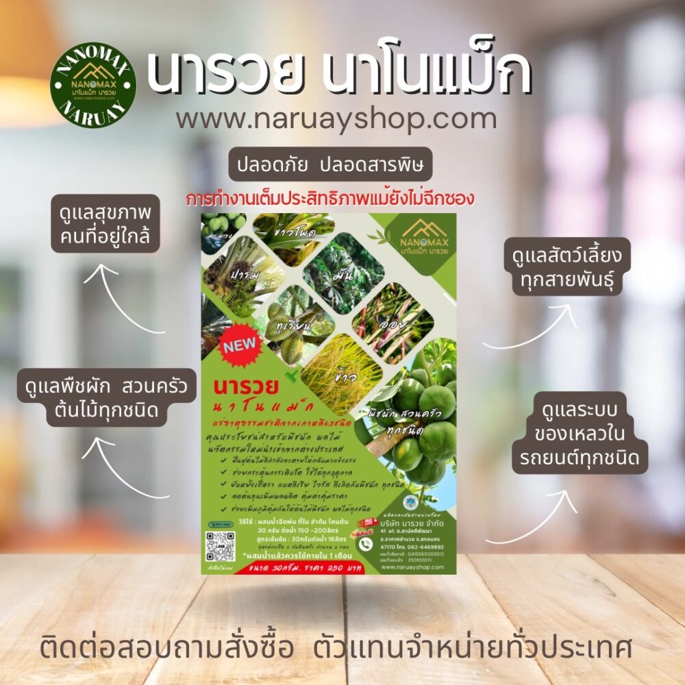 นารวยนาโนเเม็ก